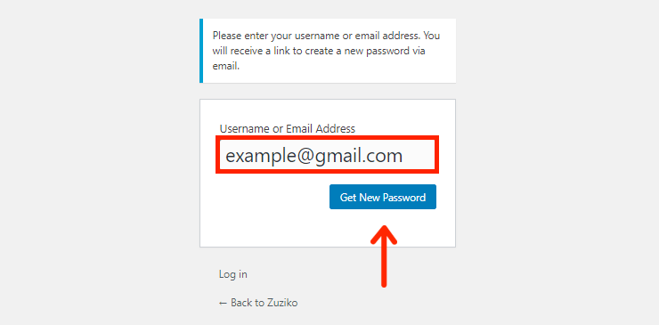 Email New Password